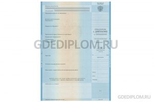 diplom-o-visshem-obrazovanii-2004-4
