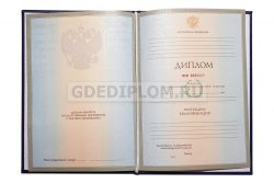 диплом ГЭИ им. Черномырдина 2004-2009