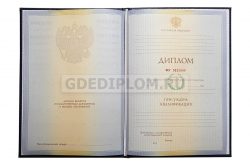 диплом ГЭИ им. Черномырдина 2010-2011